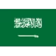 Saudi Arabia(U23)(N)
